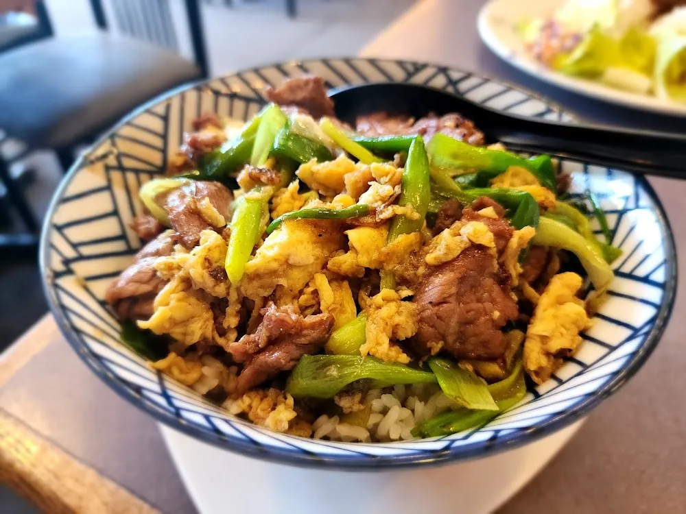 Beef and Onion Bowl